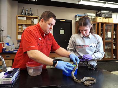 学生和教授在实验室里研究蛇.